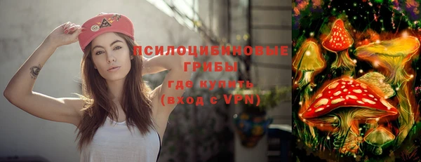 шишки Мегион