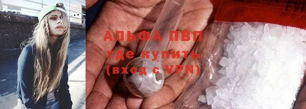 стаф Майский
