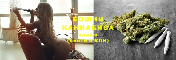 ГАЛЛЮЦИНОГЕННЫЕ ГРИБЫ Магас