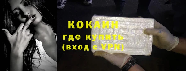 шишки Мегион