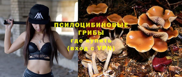 PSILOCYBIN Магадан