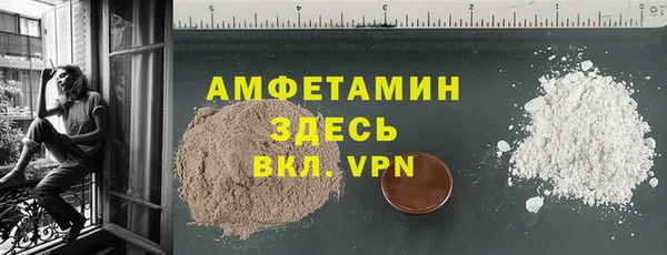 шишки Мегион