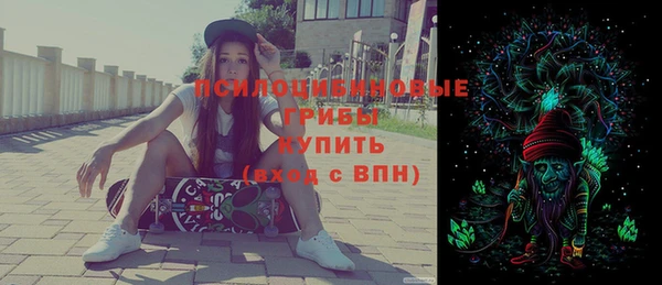 шишки Мегион