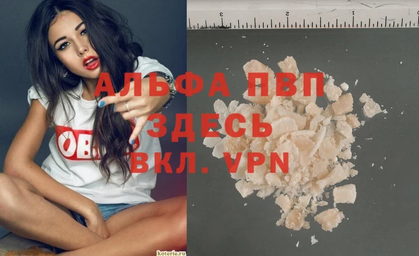 ГАЛЛЮЦИНОГЕННЫЕ ГРИБЫ Магас