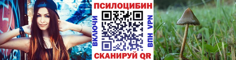 Псилоцибиновые грибы Psilocybe MEGA онион Талдом наркотики